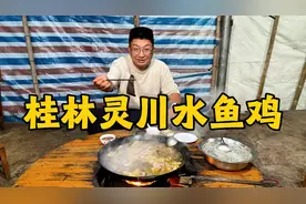 桂林大山里的水鱼炖鸡，8年甲鱼180元一斤，直接清水炖