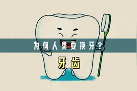 为什么人类到了6岁就要换牙？视频封面
