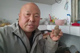 听听东北老农给你介绍丁毒豆视频封面