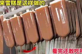 原来雪糕是这样做的，看完还敢吃吗