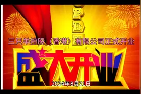 三只羊控股（香港）有限公司正式开业视频封面