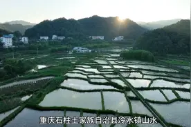 冷水镇避暑随拍视频封面