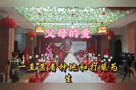 父母的爱比天大比海深视频封面
