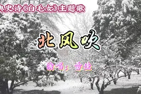 女高声歌唱家雷佳《北风吹》（《白毛女》主题歌）伴雪中美景！视频封面