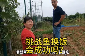 挑战带着鱼🐟去农村换饭吃🍚结果会怎样？视频封面