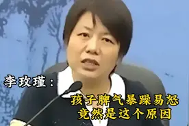 李玫瑾：孩子脾气暴躁易怒，竟然是这个原因视频封面