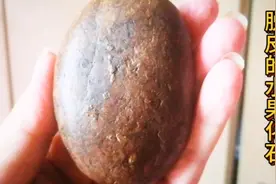 远古未知水果化石，疑似扶桑树果，火烧脱皮视频封面