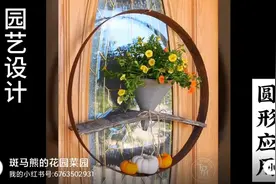 花园设计，圆形几何图形的应用视频封面