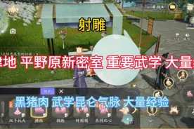 «射雕»析津地 平野原新密室(黑猪肉 武学昆仑气脉 大量经验)视频封面