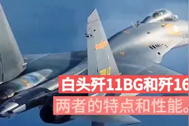 白头歼11BG和歼16两者的特点和性能曝光