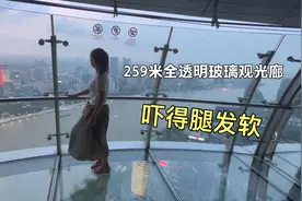 上海东方明珠，259米高全透明玻璃，妹子站在上面，吓得腿打软视频封面