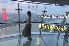 上海东方明珠，259米高全透明玻璃，妹子站在上面，吓得腿打软视频封面