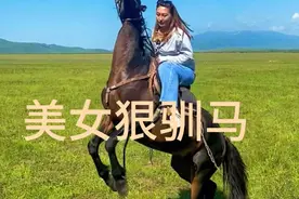 美女狠驯马视频封面