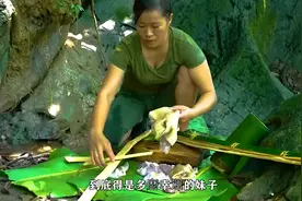 美女收穫12顆蛇蛋，孵化出12條小蟒蛇，妹子大賺一筆。