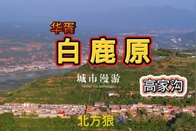 白鹿原上边转一圈，远处眺望蓝田，夕阳西下，风景美的不要不要滴视频封面