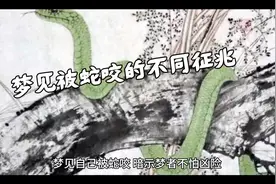 梦见被蛇咬，大师解梦视频封面