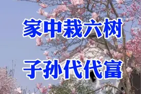 俗语“院中栽六树，子孙一直富”，六种树分别指的是哪六种？视频封面
