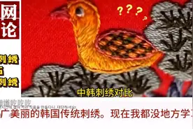 中韩刺绣对比，韩国还好意思申遗？外国网友：没有对比就没有伤害视频封面