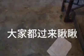 邻居家小孩在门口尿尿，都已经四五岁了，不可能连这都不懂吧视频封面