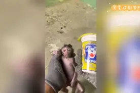 小马喽窜稀，印尼老六用泻立停帮助治疗。视频封面