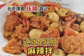 北京琪哥到达抚顺，麻辣拌麻辣盆麻辣烫分不清，这鱿鱼居然是特色视频封面