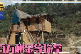 能联系上太平洋建设严介和严总～百万酬金等你拿视频封面