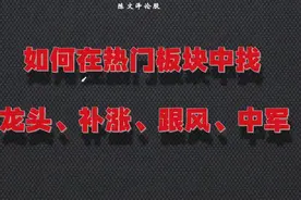 如何在热门题材中找，龙头、中军、补涨、跟风？五分钟看明白！