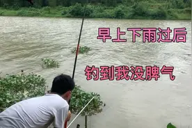 早上下完一场暴雨，下午过来罗江钓鱼，鱼多到，钓到我没了脾气。视频封面