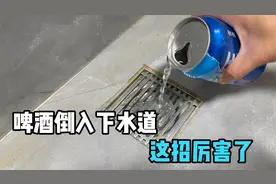 把喝剩的啤酒倒入下水道，真是厉害了，解决了家家户户的大烦恼视频封面