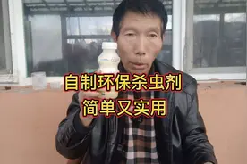 蔬菜招了蚜虫，又不想打药，不妨试试这个方法，效果非常不错视频封面