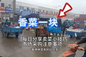 卖菜新手小白市场采购小技巧