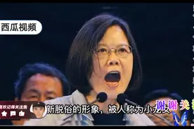 烂蔡的父亲是🇯🇵国籍从小接受🇯🇵文化的教育，谄媚日美历史罪人视频封面