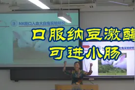 大耳白兔口服纳豆激酶能通过胃酸进入小肠 其中空肠吸收最强视频封面