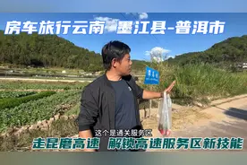自驾云南墨江到普洱，解锁高速新技能，高速服务区摘草莓！