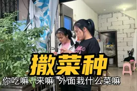 秋天天气凉快了，三孃说又是种菜的季节到了，拉上二妹就开弄视频封面