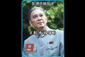 致敬一代伟人，人物故事，彭大将军被错误批评视频封面