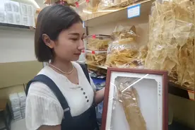 祖国颂：中医药是座伟大宝库，中国最大药材市场-广州清平探宝视频封面