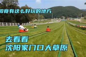 沈阳东北亚云端草原，沈阳家门口的大草原，竟有这么多好玩的视频封面