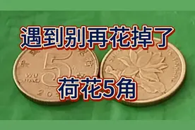 荷花5角最珍贵的版别和年份你了解吗遇到别再花掉了#硬币收藏视频封面