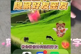你懂的什么是微信密友模式摇一摇隐藏好友！怎么打开微信么