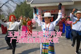 北京玉渊潭公园樱花开放   南门内广场  藏族盛装  欢歌燕舞视频封面
