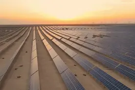 新疆尉犁县34团沙漠光伏发电站已建成。下面种草喂羊不太容易啊！视频封面