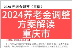 2024养老金调整方案解读，重庆市3800元为例视频封面
