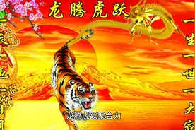 各行各业“龙腾虎跃”聚合力 中国高质量发展扎实推进、未来可期视频封面