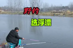 短竿用小浮漂轻松抛投，为何老钓友用大浮漂？三因素使其鲫鱼连杆视频封面