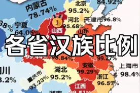 各省汉族人口比例排名，你的家乡是多少？视频封面