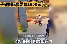 孩子碰到玩偶要赔偿2600元视频封面
