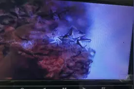 北京前列腺炎病友，尿道刺痛，草酸钙结晶排空惹的祸。视频封面