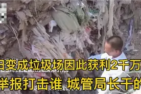 银川300亩农田堆满垃圾：为啥都在踢皮球，谁在后面撑腰视频封面