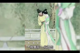 簪花的故事视频封面